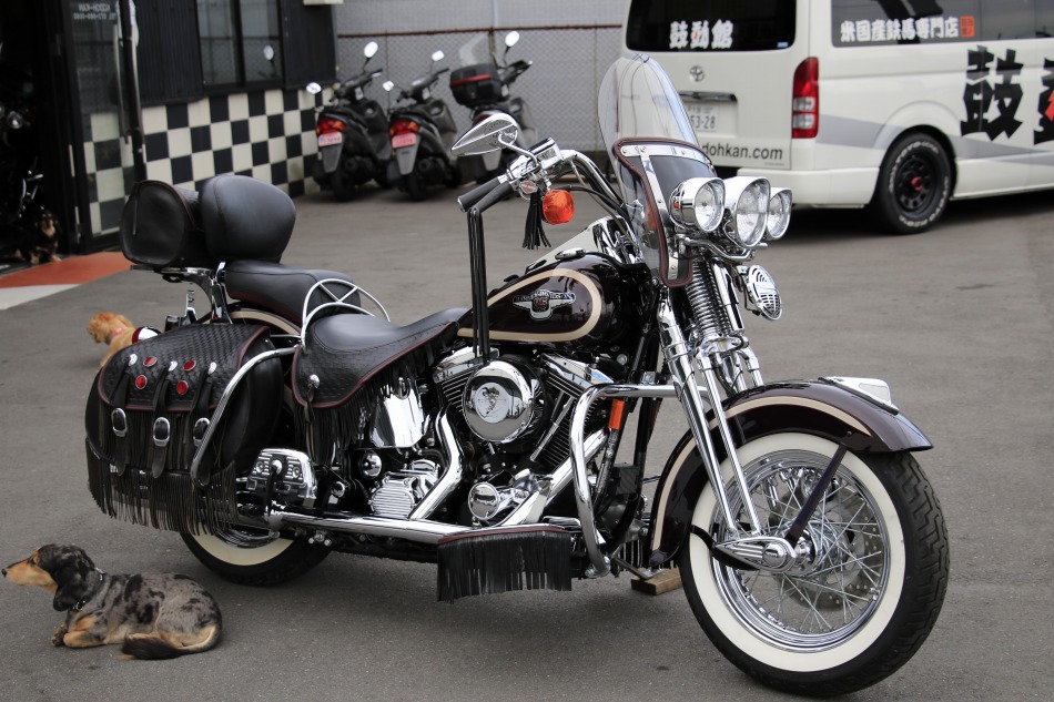 ���C���ʐ^